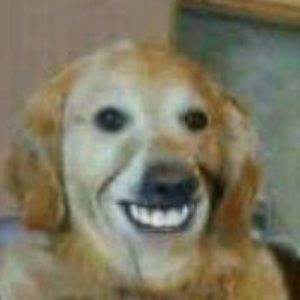 Meet your Posher, Elijah